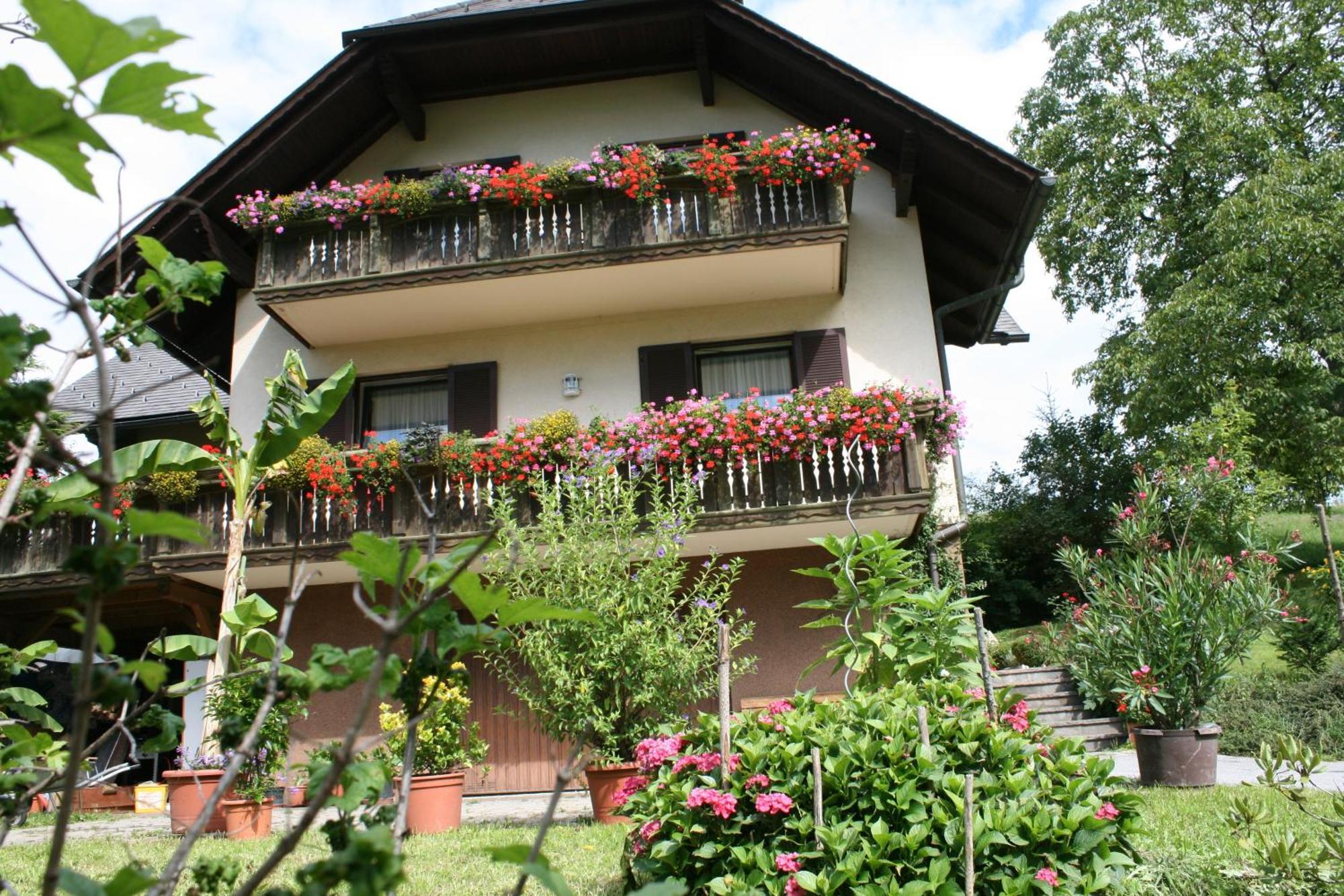 Gasthaus - Gaestehaus Schusterbauer Rein Esterno foto